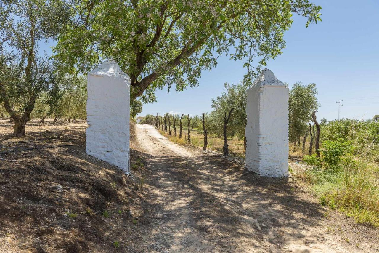 マルチェナ Hacienda San Antonioヴィラ エクステリア 写真